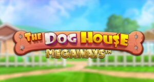 dog house megaways casino slot